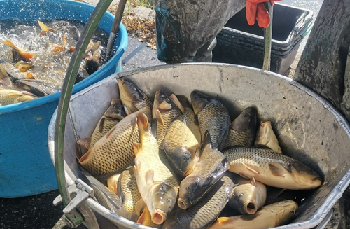 Snímek obrazovky 2025-10-14 101132.png